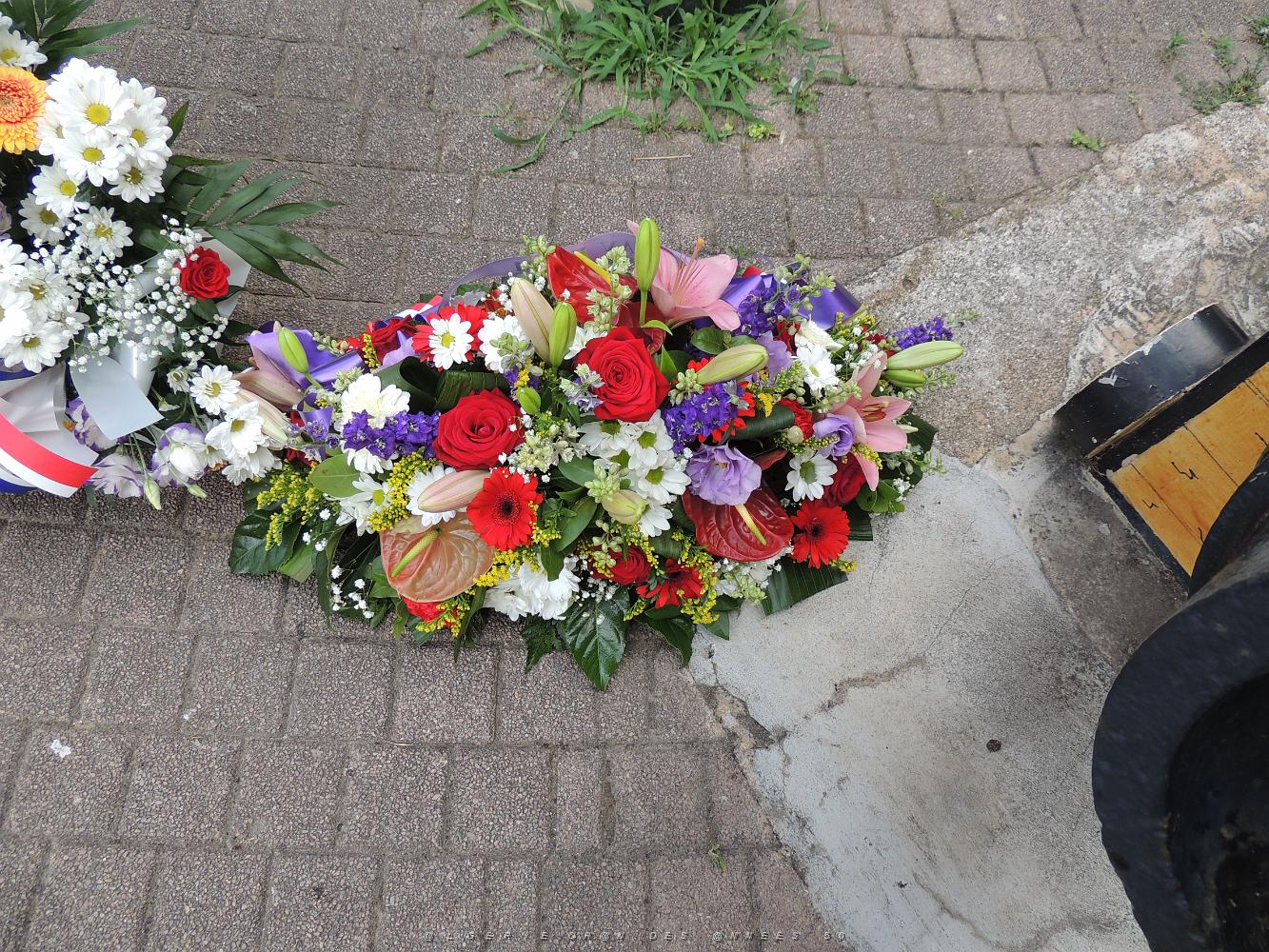 2018 07 05 A TOULON HOMMAGE AU MASSACRE DU 5 07 1962 A ORAN PAR MARCEL MORVAN (15).JPG -           